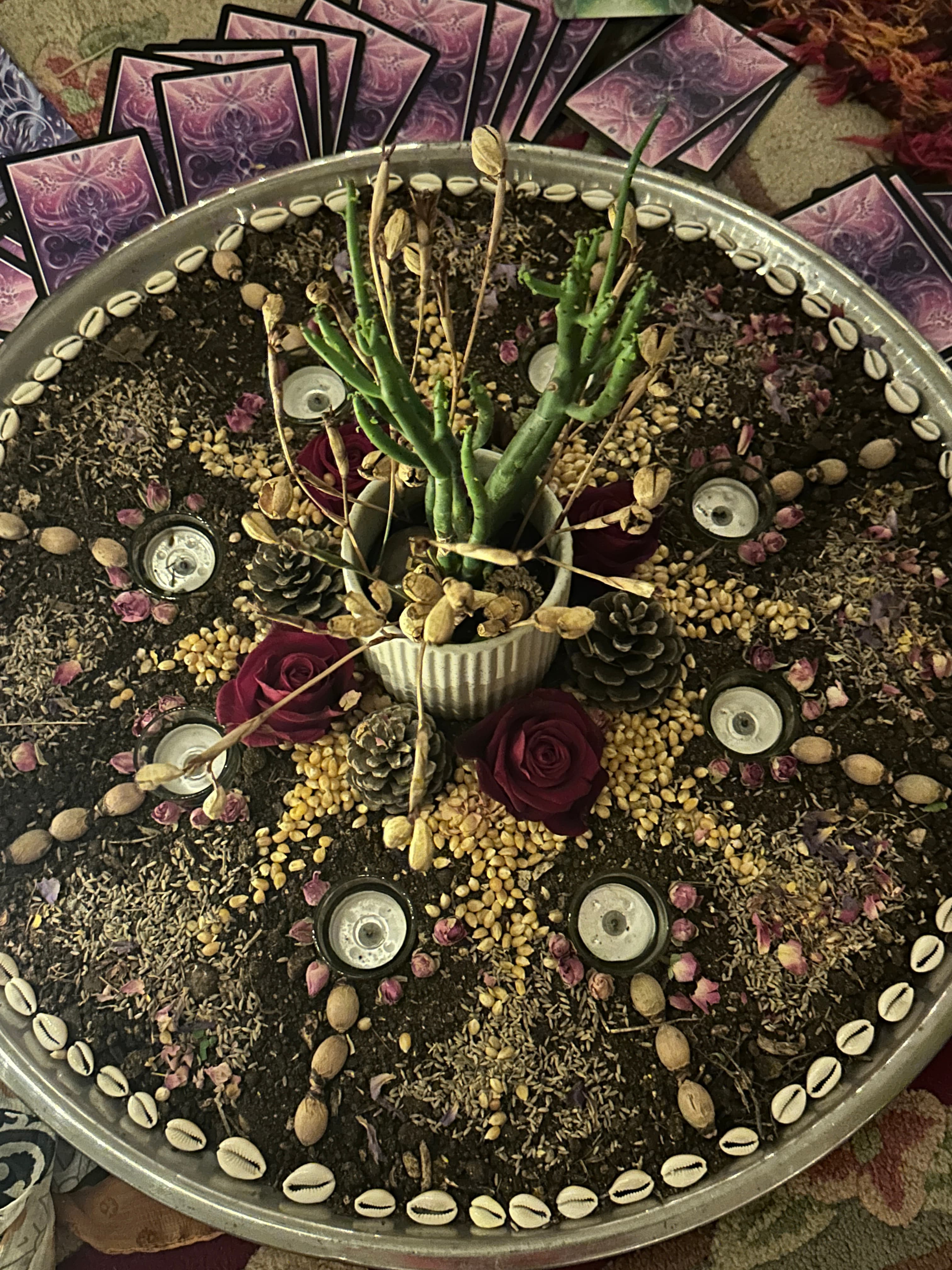 נופי הרי הגליל המרהיבים מבית הכרם